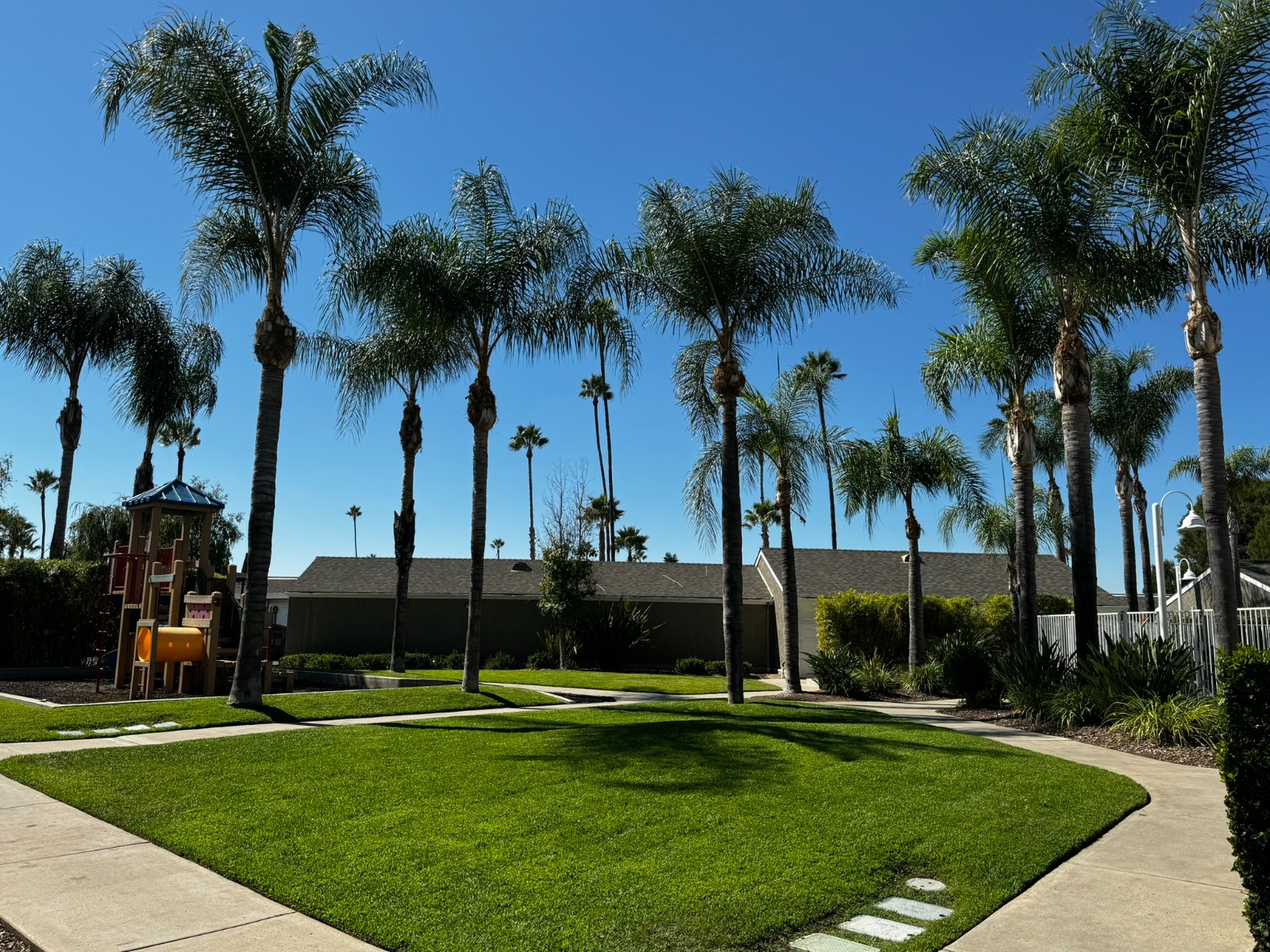 Maintained common-area courtyard with palm trees and lush landscaping at a community property