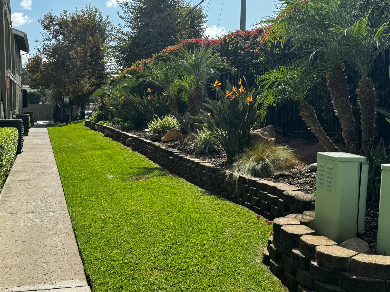Tree & Shrub Care